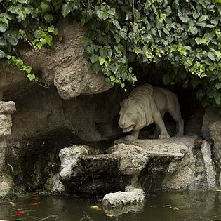 Lion Fountain in Gangi
