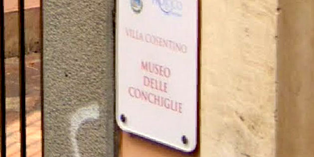 Museo delle conchiglie a Valverde