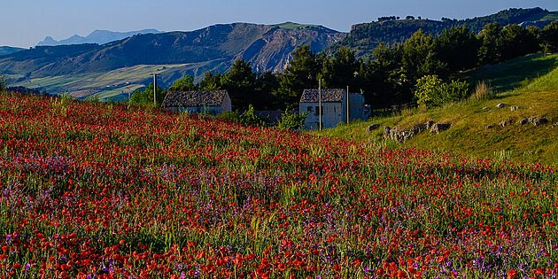 Riserva Naturale Monte Cammarata