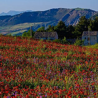 Riserva Naturale Monte Cammarata