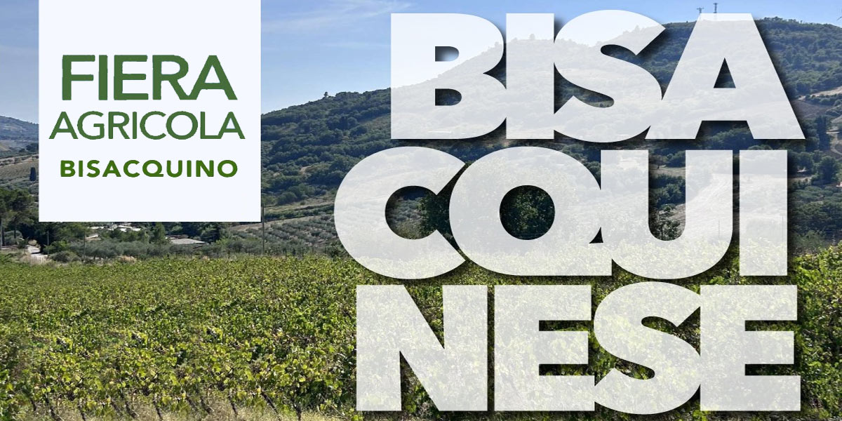 Fiera agricola a Bisacquino