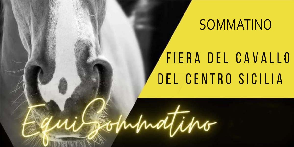 Horse Fair in Sommatino