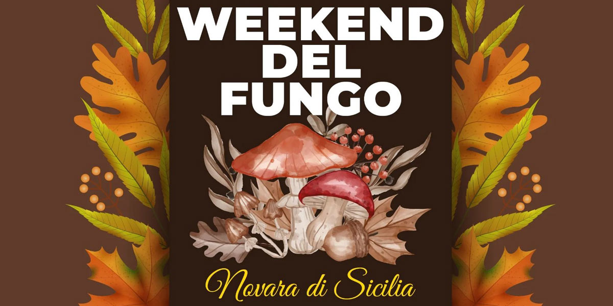 Mushroom weekend in Novara di Sicilia