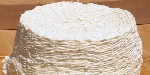 Madonie Basilisk ricotta 